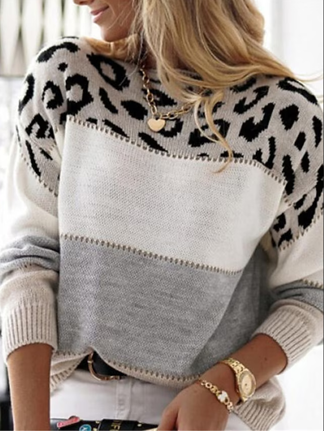 Crew Neck Casual Long Sleeve Leopard & Color Block Sweater