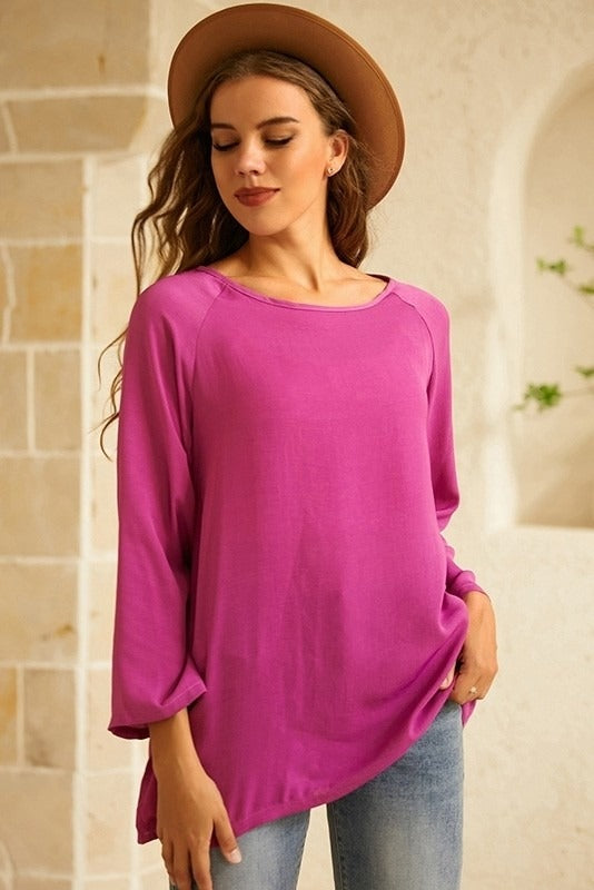 Solid None Round Neck Long Sleeves Blouse